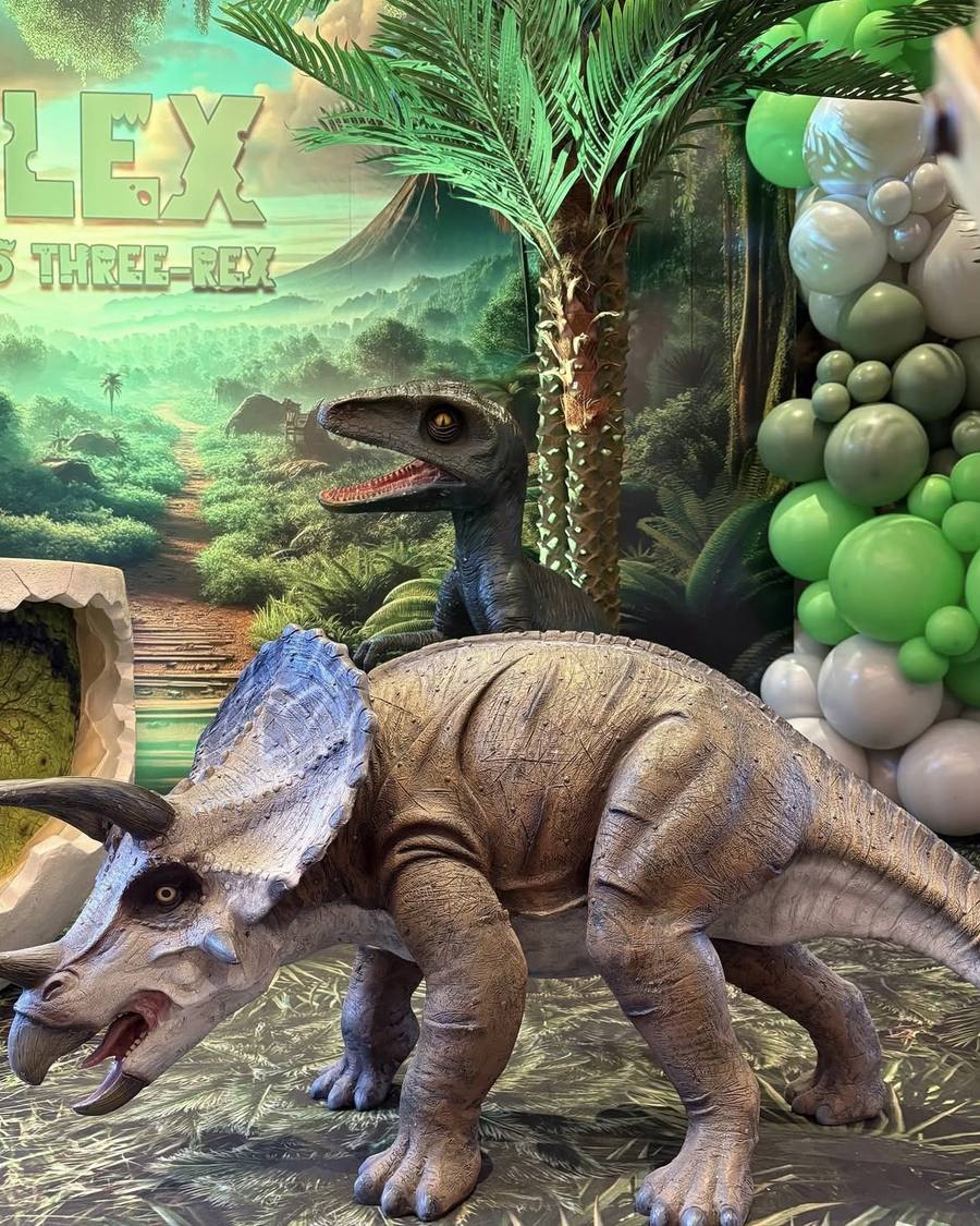 Dinosaur Prop — Triceratops